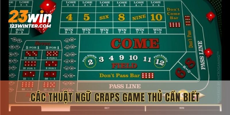Thuật ngữ phổ biến trong game Craps